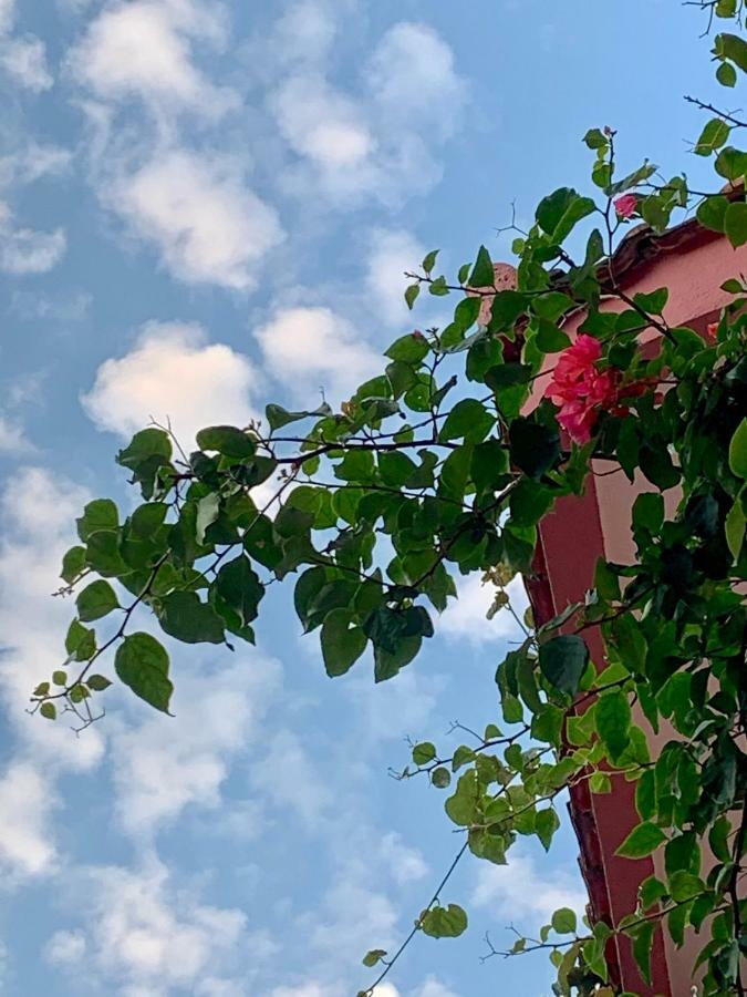 Rooms Kuljic Budva Dış mekan fotoğraf